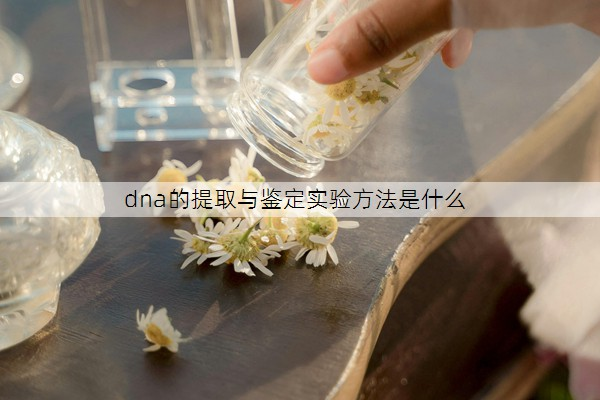 dna的提取与鉴定实验方法是什么