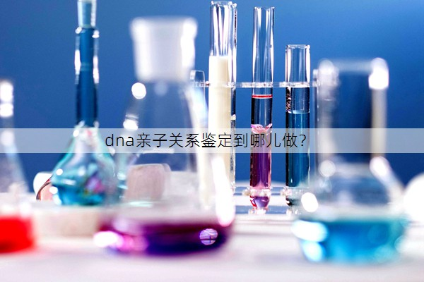 dna亲子关系鉴定到哪儿做