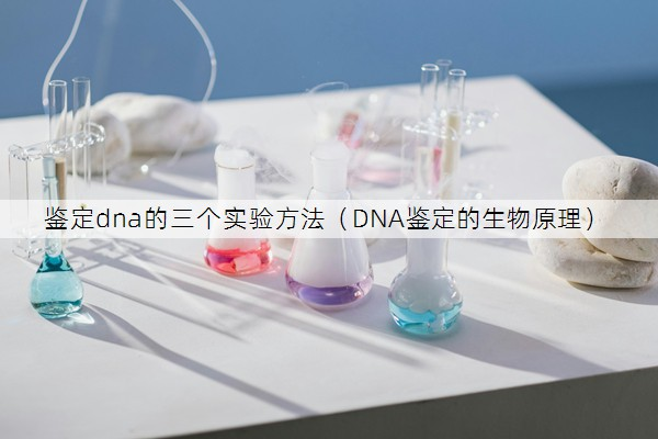 鉴定dna的三个实验方法