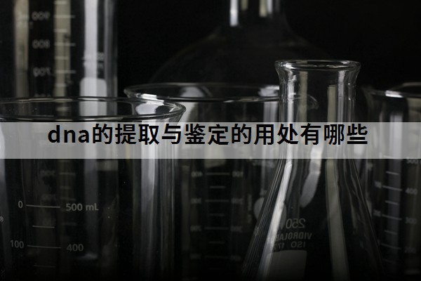 dna的提取与鉴定的用处有哪些