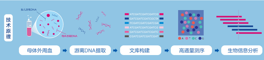 深圳亲子鉴定需要几天上午做下午就能出结果吗